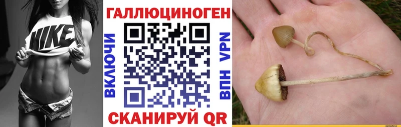 Галлюциногенные грибы ЛСД  купить наркоту  Пудож 